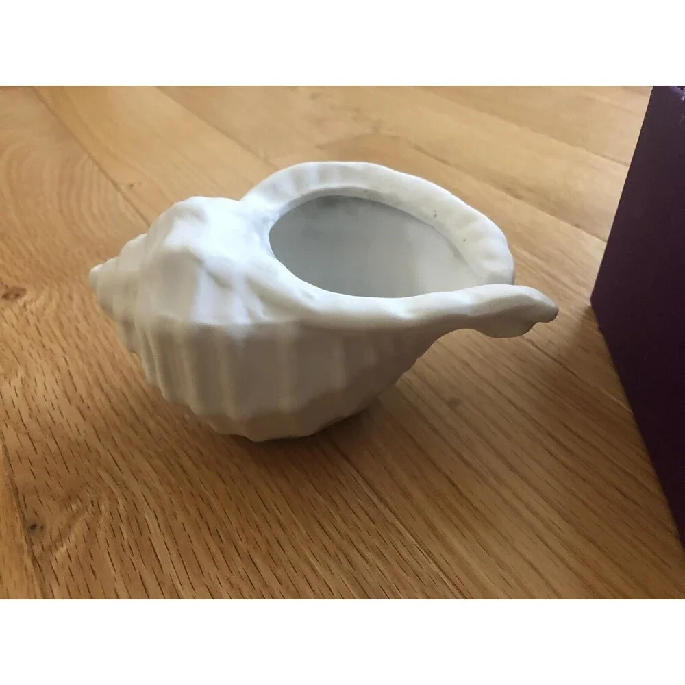 Ceramic Conch Sea Shell‎ Planter with Decorative Gift Box